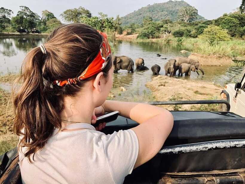 Elephant Kingdom Safari – Minneriya National Park - What the guide adds to the ride