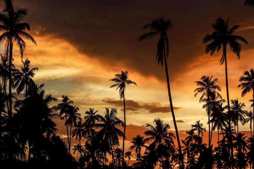 Ella: Adventure day trip to explore Ella by tuk tuk - Key points to know before booking