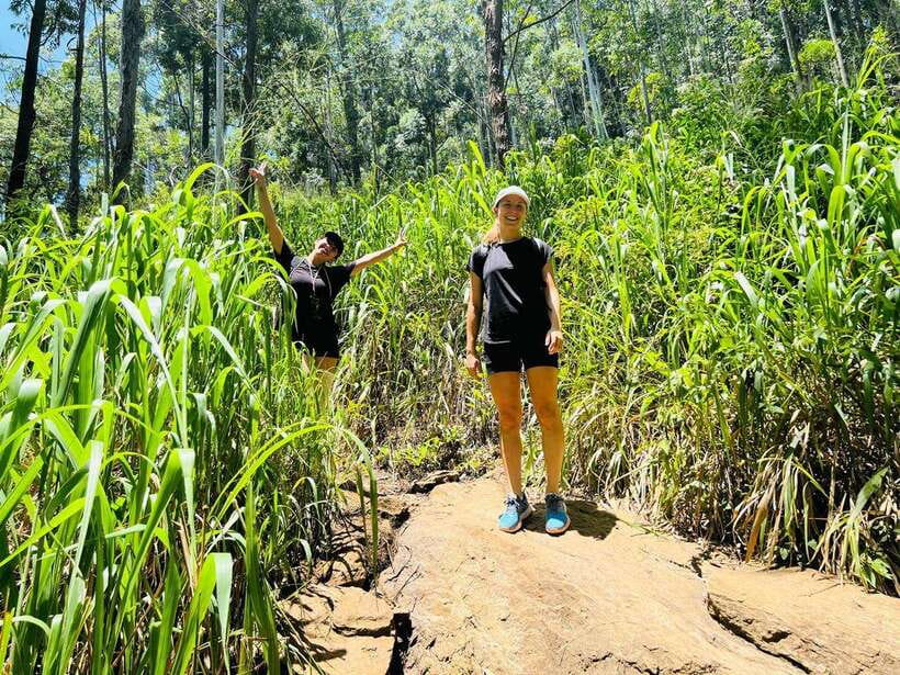 Ella Day Tour from Kandy with tea factory - Ramboda Falls, Hanuman Temple, and the first views
