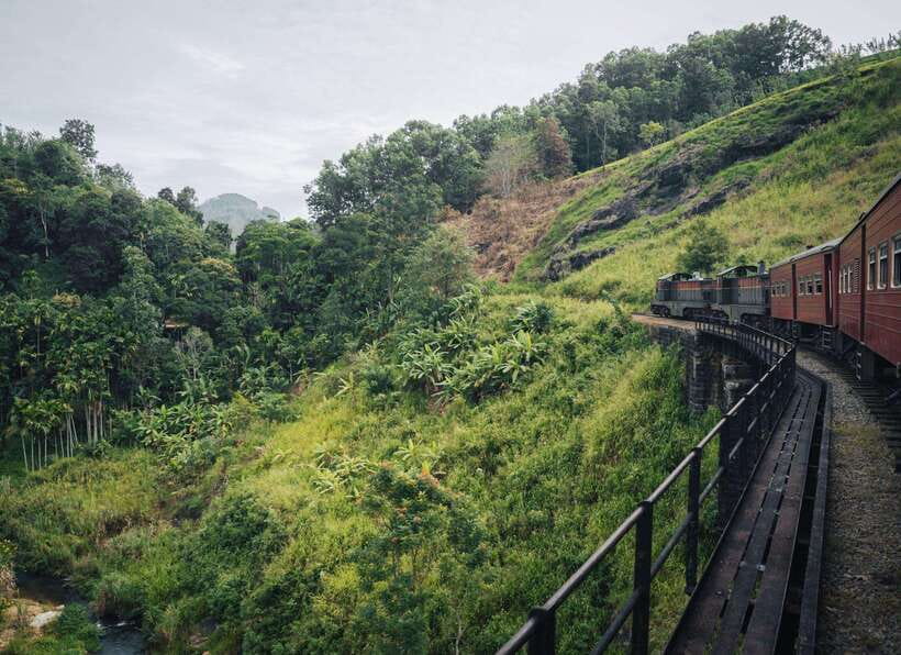 Ella Day Tour: with Tea Factory Visit from Colombo/Bentota - Why this Ella day trip works, and where it asks a lot of you