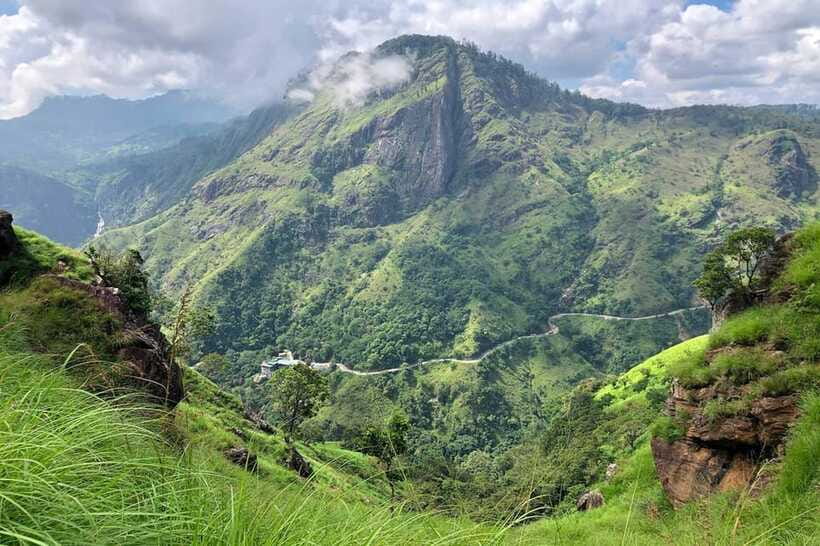 Ella Day Tour: with Tea Factory Visit from Colombo/Bentota - Pedro Tea Factory and the story behind Ceylon tea
