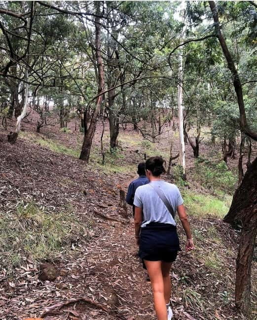 Ella: Ella Rock, 9 Arch, Little Adams Peak, & Waterfall Tour - The Demodara to Ella train is the day’s most local moment