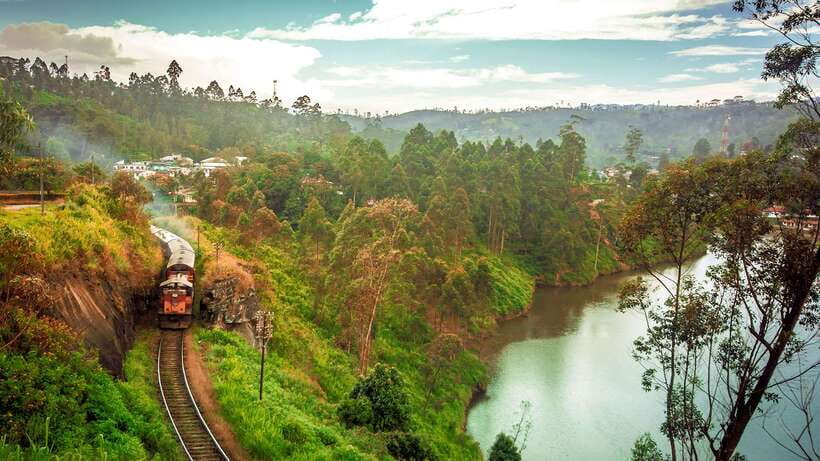 Ella: First Class Scenic Train Ticket To/From Nanuoya - From Nanuoya into the tea plantations