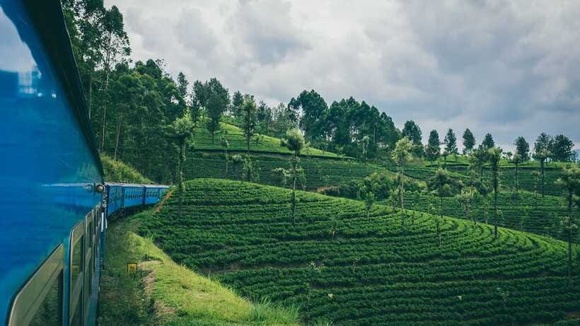 Ella: First Class Scenic Train Ticket To/From Nanuoya - Small details that improve the ride