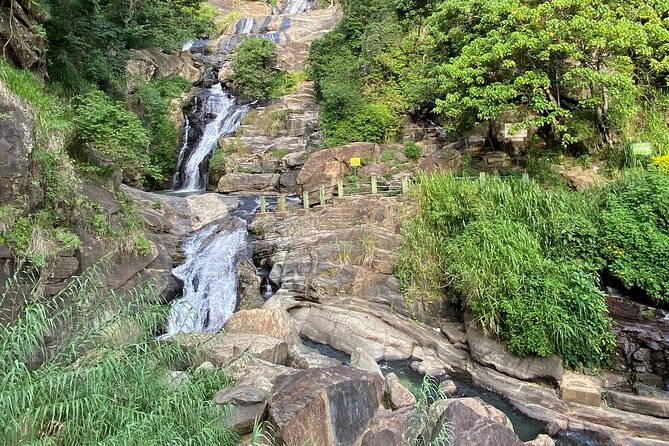 Ella Private Day Tour - Departing from Any Location in Sri Lanka - Tea plantation visit and the missing detail to clarify
