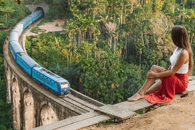 Ella Private Day Tour - Departing from Any Location in Sri Lanka - The $195 price and what you receive