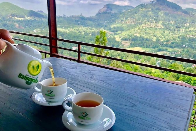 Ella Private Day Tour From Kandy - Demodara Loop and a clever railway design