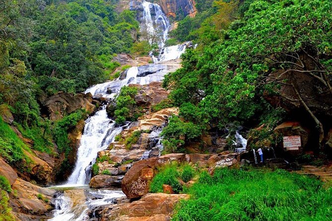 Ella Private Day Trip with Train Ride & Tea Factory-All Inclusive - Lunch, transport, and the real value of $190