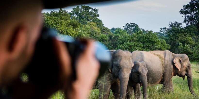 Ella: Shuttle to Tangalle/Mirissa/Galle & Udawalawa Safari - FAQ