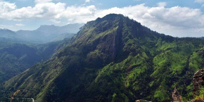 Ella: Tea Factory, Train, and Nine Arch Day Tour with Pickup - Key points to know before booking
