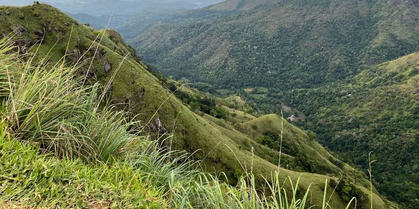 Ella: Tea Factory, Train, and Nine Arch Day Tour with Pickup - Flying Ravana Mega Zipline