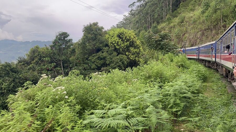 Ella: Tea Factory, Train, and Nine Arch Day Tour with Pickup - Ravana Pool Club: a useful pause