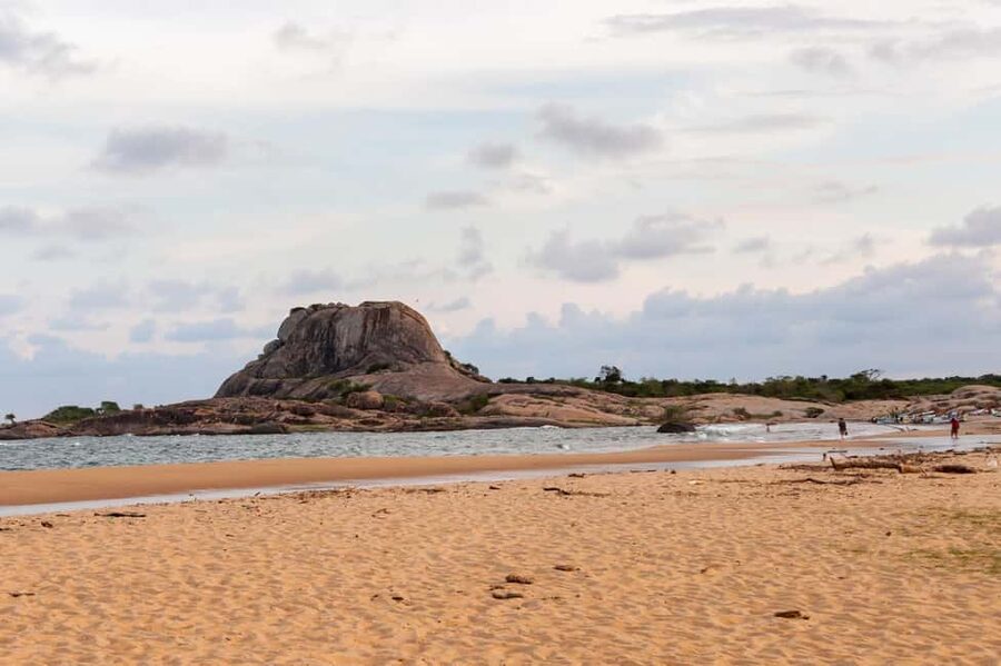 Ella: Transfer to Tangalle/Mirissa/Galle & Yala Safari Tour - Booking details worth checking