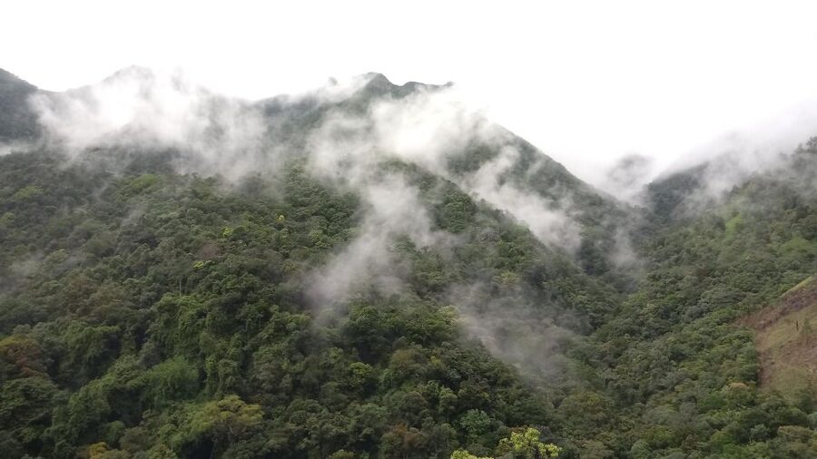 Ella: Waterfall hunting Hike to Bambarakanda and Lanka Falls - What $60 gets you