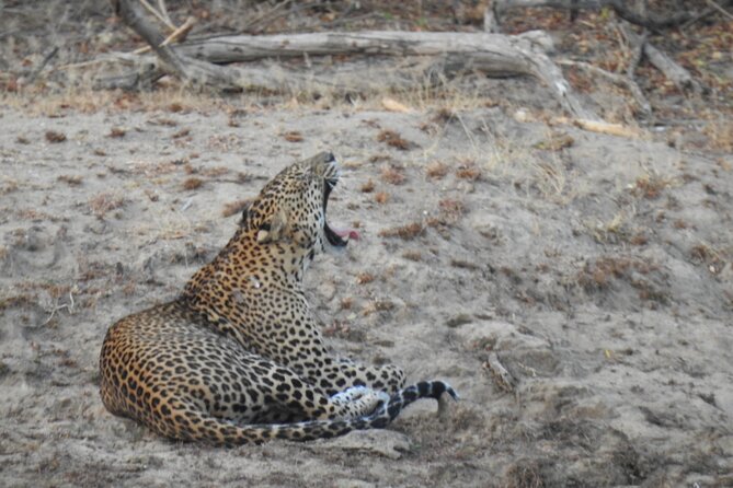 Evening Safari - Yala National Park with Janaka safari - 02.00 pm to 06.30 pm - The guide can shape the whole afternoon