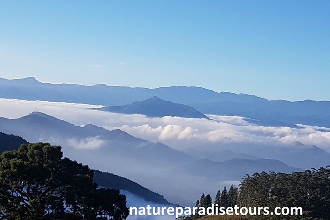 Exclusive knuckles Camping Tour from kandy - Key points at a glance
