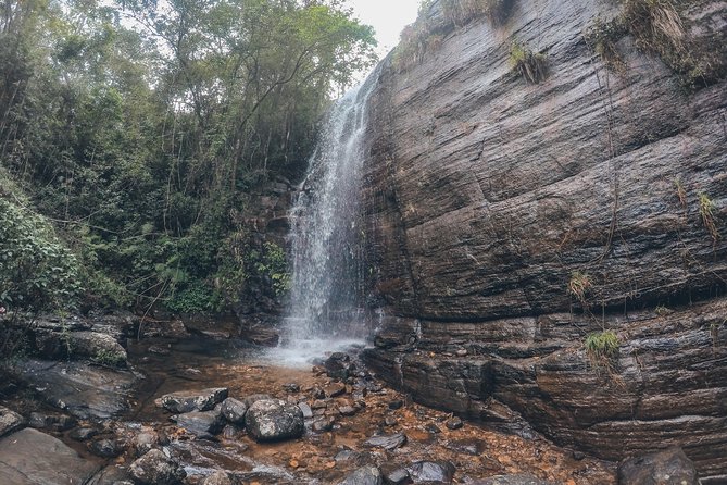 Exclusive knuckles Camping Tour from kandy - Day two, downhill through tea country and forest