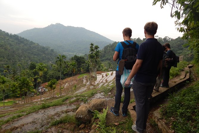 Exclusive knuckles Camping Tour from kandy - What you will see, and what is not promised