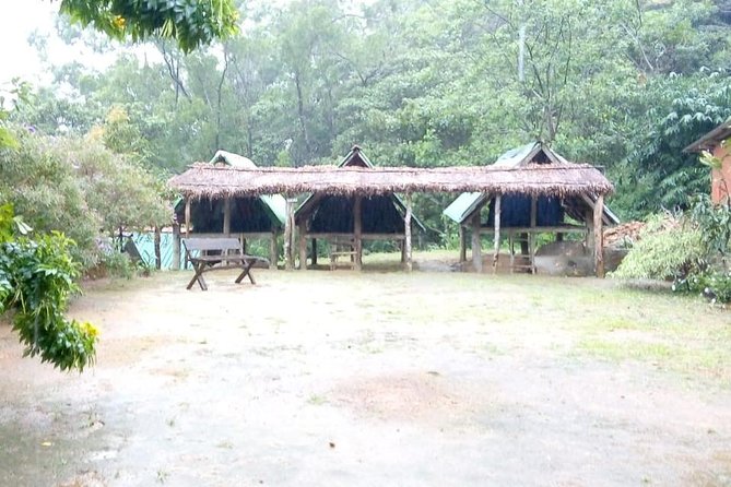 Exclusive knuckles Camping Tour from kandy - Day one: tea trails, rocky ground, and high forest