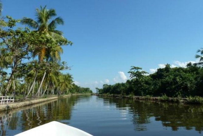 Exclusive: Muthurajawela Bird Watching Tour with Transfers - Key points at a glance