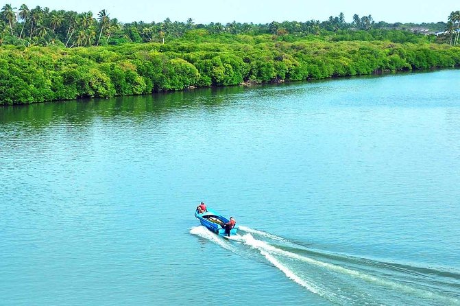 Exclusive: Muthurajawela Bird Watching Tour with Transfers - Why an early start makes sense