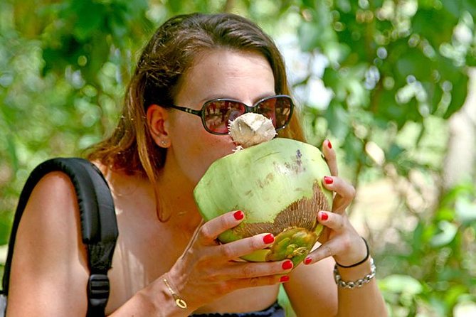 Exclusive: Southern Sri Lanka Sightseeing Private Day Trip - Meeting rescued turtles at Kosgoda