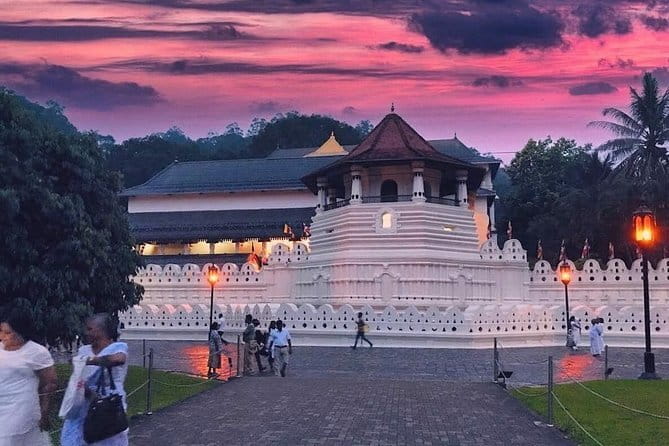 Experience the Beauty and History of Sri Lanka - Who should book this experience