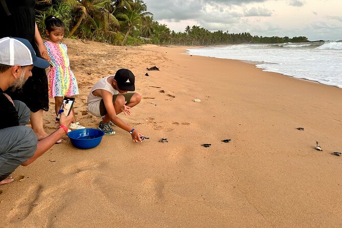 Explore Bentota Village: Guided Tuk Tuk Safari - What the 4:00 pm schedule means