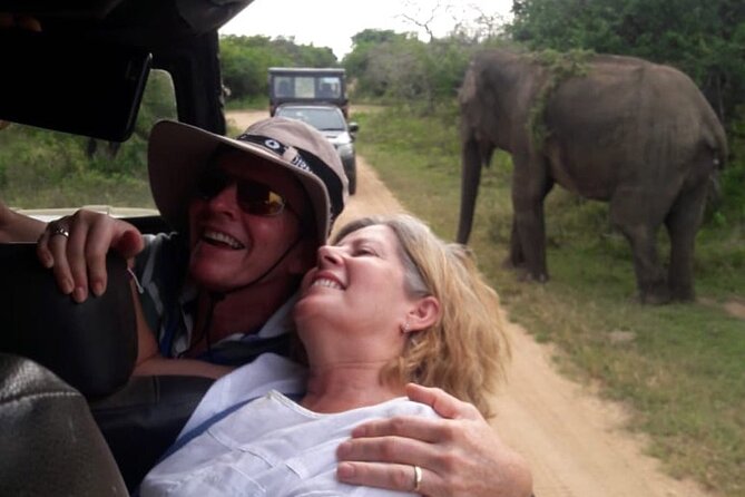 Explore The Beauty Of Udawalawe National Park From South Coast During 01 Day - Four Hours Among Udawalawe’s Elephants