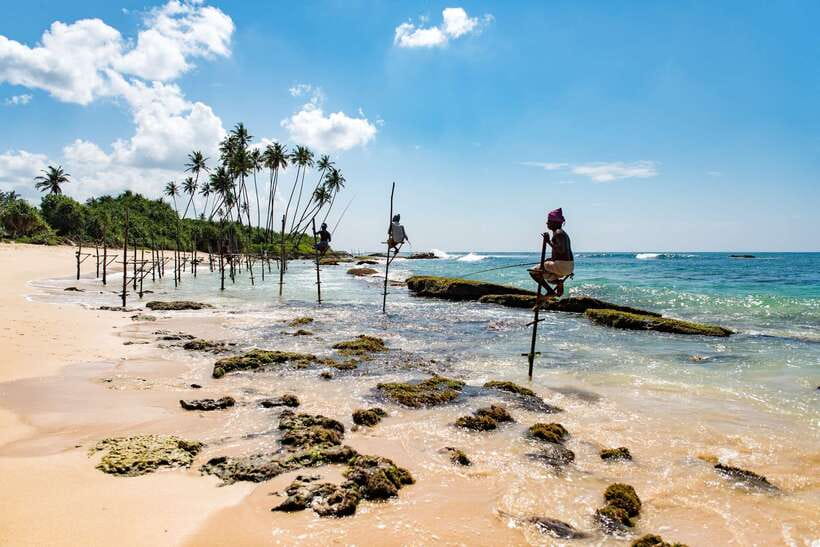 Explore the MAGIC of Sri Lanka in 7days -4 Star hotels Incl. - The private guide can make or break the trip