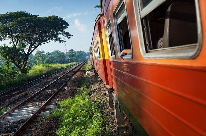 First Class Scenic Train Ticket From Kandy To Ella - Tea fields, forests, and highland views