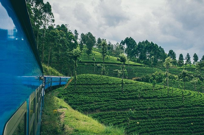 First Class Scenic Train Ticket From Kandy To Ella - Who should book this train ride?