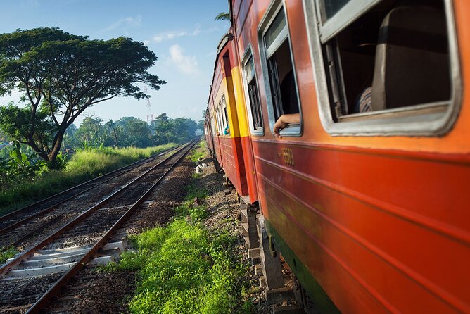 First Class Scenic Train Ticket From Kandy To Ella - From Kandy to Ambewela by complimentary shuttle