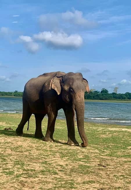 From Anuradhapura: Wilpattu National park Safari - Entering Wilpattu around the park’s lakes