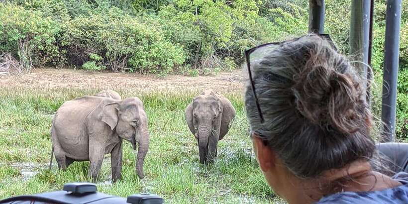 From Arugambay : Yala National Park Safari & Dropoff in Ella - The private jeep setup and comfort level