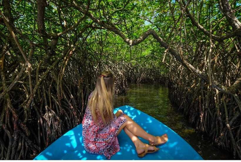 From Bentota: Exclusive Madu River Safari & Turtle Hatchery - Private transport and group comfort