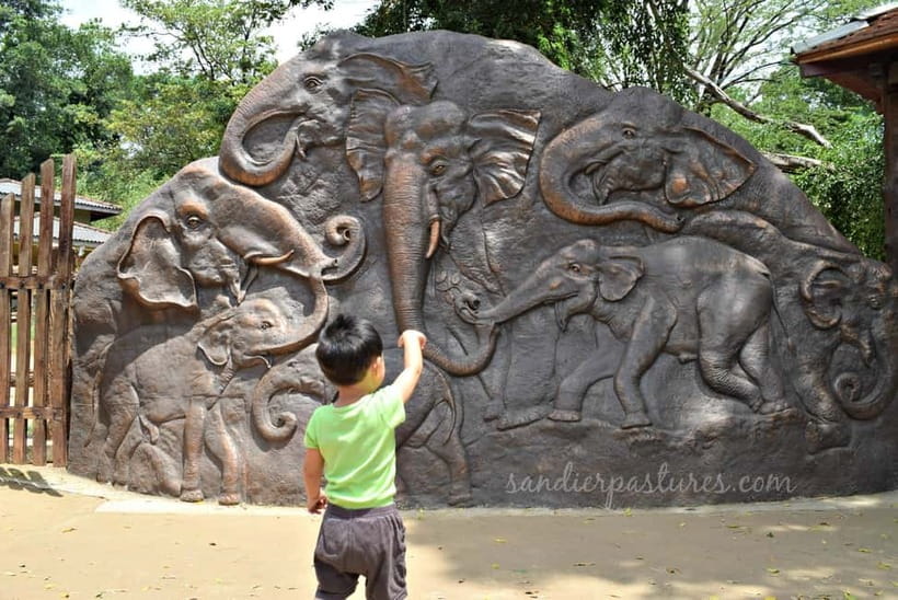 From Colombo: Kandy and Pinnawala Orphanage Short Excursions - What this Colombo day trip really covers