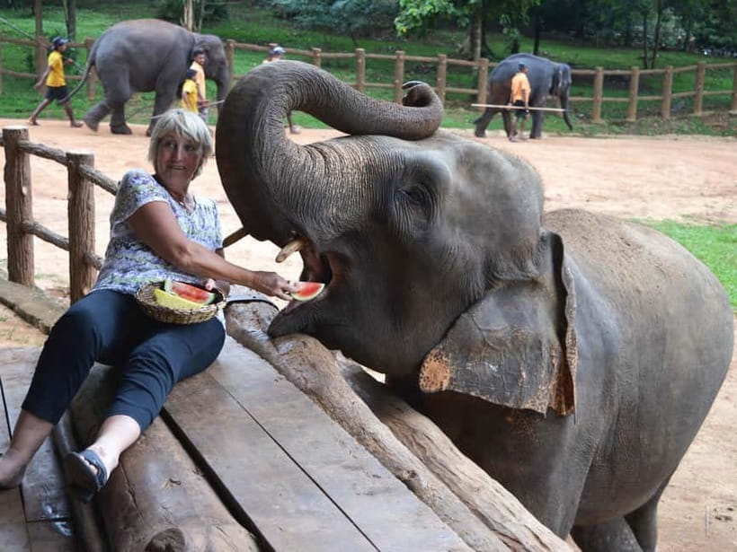 From Colombo: Kandy and Pinnawala Orphanage Short Excursions - Lunch, entrance fees, and the real price