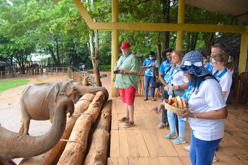 From Colombo: Kandy and Pinnawala Orphanage Short Excursions - Pinnawala and the elephant experience