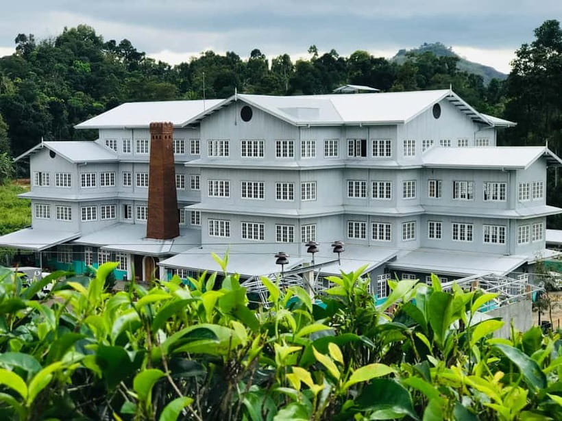 From Colombo: Kandy and Pinnawala Orphanage Short Excursions - Tea tasting and the Sri Lankan highlands