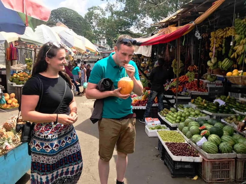 From Colombo: Kandy and Pinnawala Orphanage Short Excursions - Peradeniya’s 147 acres of plants