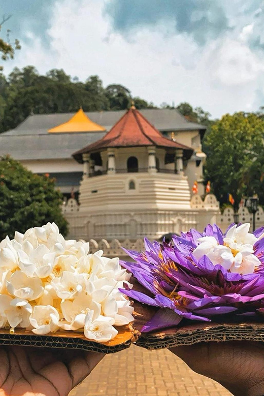 From Colombo: Kandy and Pinnawala Orphanage Short Excursions - The Kandy View Point