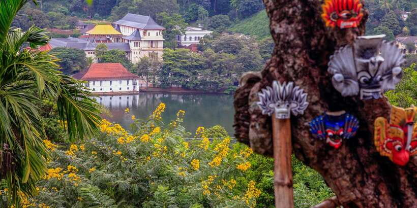 From Colombo: Kandy Full-Day Trip - Royal Botanic Gardens, Peradeniya