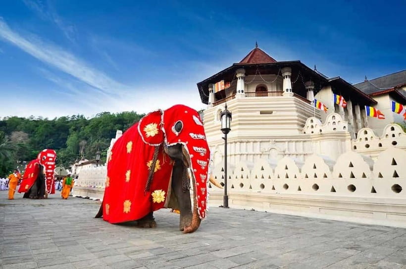 From Colombo: Kandy, Pinnawala and Tea Factory Full-Day Trip - Spice and herbal products at Susantha