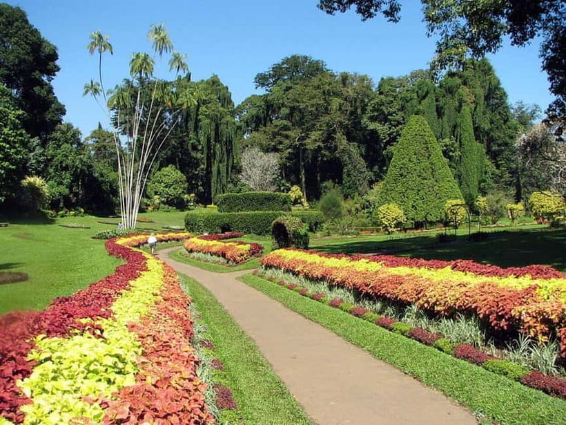 From Colombo: Kandy, Pinnawala and Tea Factory Full-Day Trip - Is $55 good value?