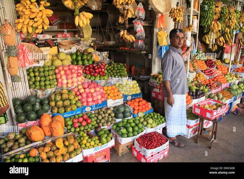 From Colombo: Kandy Temples and Pinnawala Full-Day Tour - One big day from Colombo or Negombo