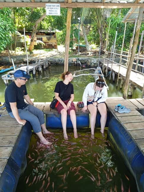 From Colombo/Negombo: Galle, Madu River, and Turtle Hatchery - Should You Book This Tour?