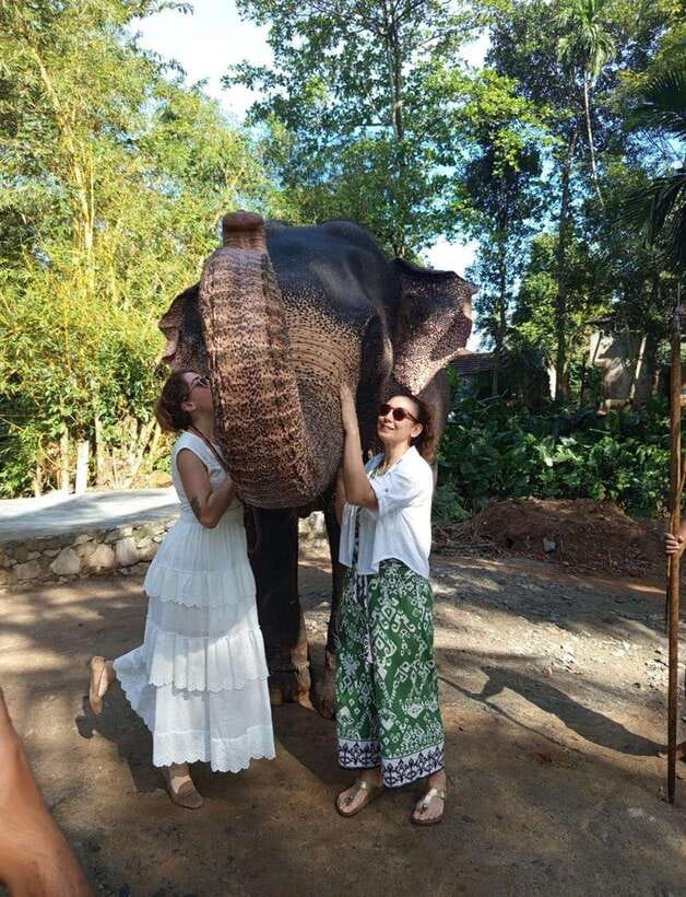 From Colombo or Negombo: Pinnawala, Kandy & Tea Factory Tour - Key points at a glance