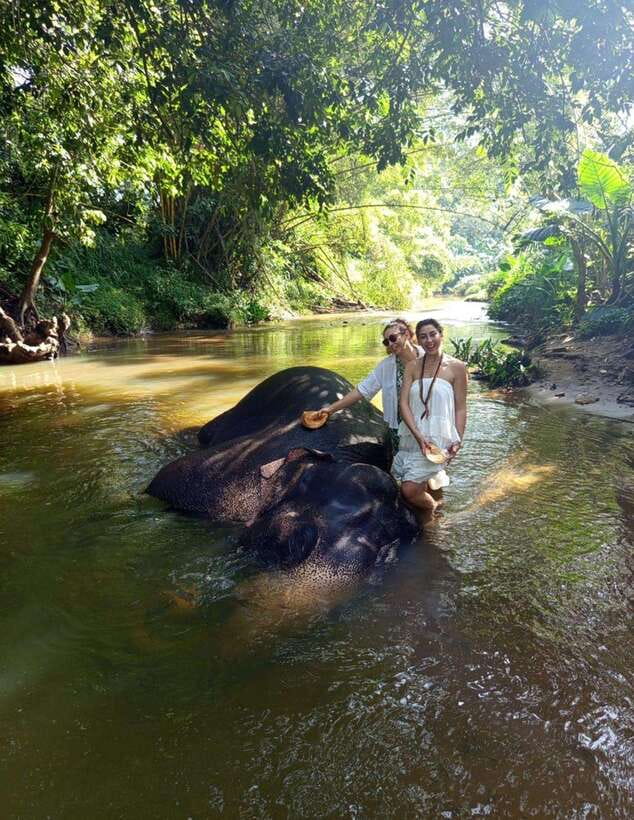 From Colombo or Negombo: Pinnawala, Kandy & Tea Factory Tour - Should you book it?