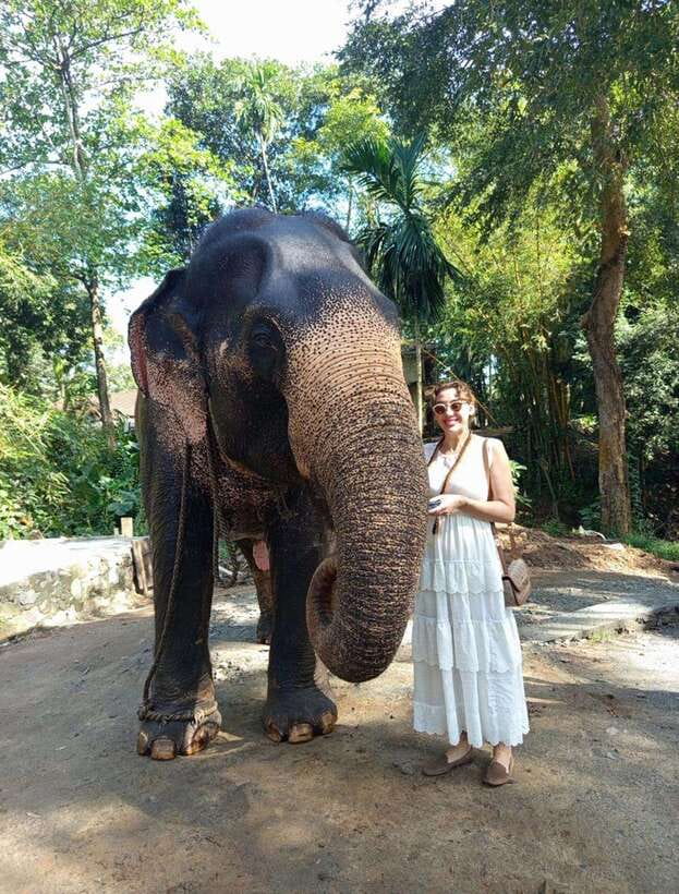 From Colombo or Negombo: Pinnawala, Kandy & Tea Factory Tour - Pinnawala puts elephants first